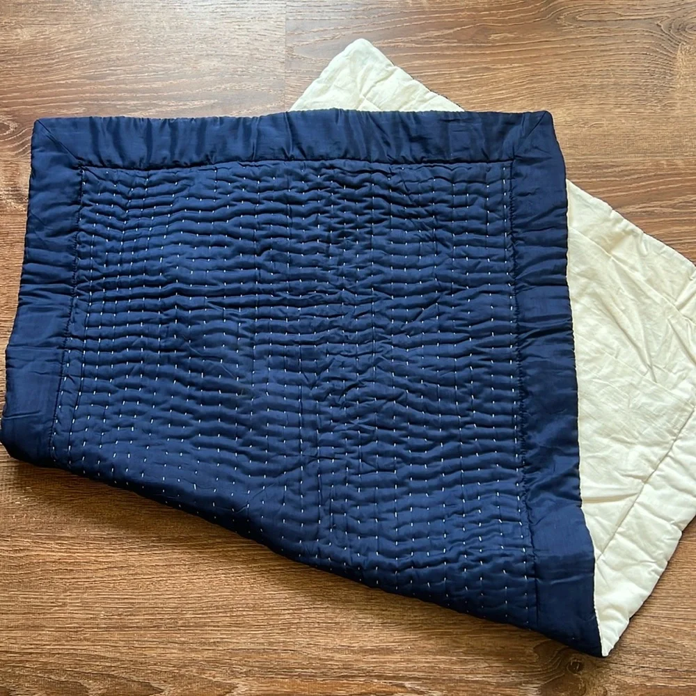 Crate & Barrel 20/38 king sized duvet